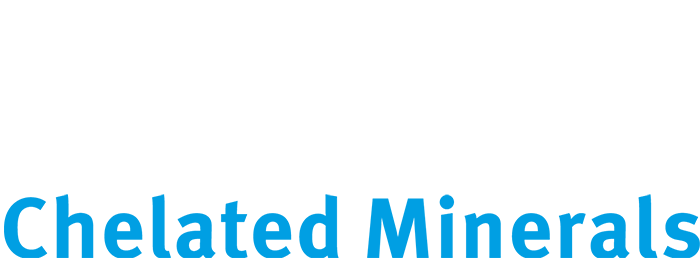 Magchel logo
